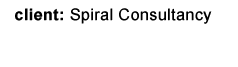 client: Spiral Consulting